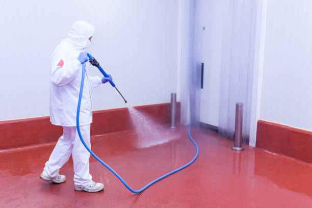 Best Playground Equipment Cleaning  in Pine Grove, PA